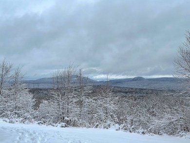 3383 I P, Morgan, VT 05853 - photo 4