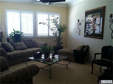 Living room again with insulated shutters.