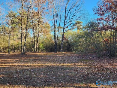 2121 County Road 79, Fort Payne, AL 35967 - photo 7