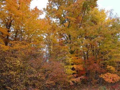 On State Highway 86, Tomahawk, WI 54487 - photo 6