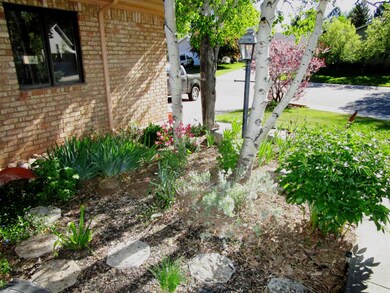 Front Yard Detail