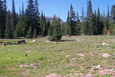 1002 E Ridge Top Dr unit CBMHS unit B b-B lot, Brian Head, UT 84719 - photo 3