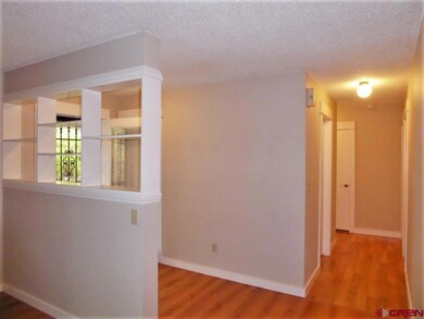 480 E Main St, Cedaredge, CO 81413 - photo 5