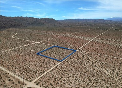 6227 Cottonwood Dr, Joshua Tree, CA 92252 - photo 5