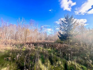 Lot 2 County Rd Q, Forest Township, WI 54005 - photo 4