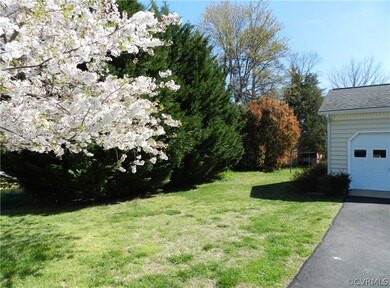 Ornamental Trees for Privacy