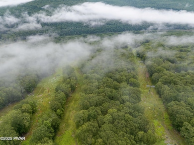 118 Pioneer Dr, Masthope, PA 18435 - photo 6