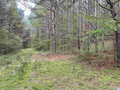 0 Bud Cummings Rd unit 42 1350945, Roanoke, AL 36274 - photo 4