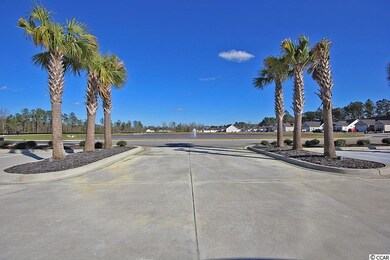 817 Windsor Rose Dr unit Lot 146 Busbee, Conway, SC 29526 - photo 2