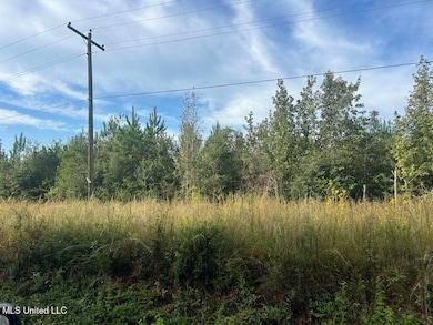 TBD River Rd N, Summit, MS 39666 - photo 6