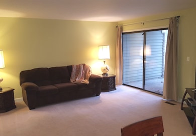 1515 Harbour Ct unit 1-A, Schaumburg, IL 60193 - photo 3