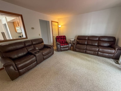 746 Days Dr unit 4, Sutton, WV 26601 - photo 4