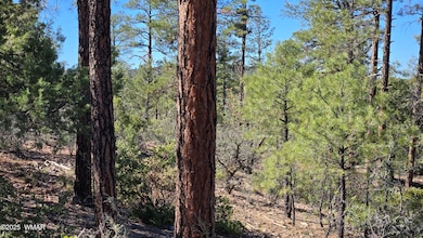 440 E Stoneridge Cir, Show Low, AZ 85901 - photo 2