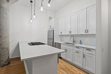 Metropolitan Place unit 212, Chicago, IL 60606 - photo 5