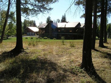 View thru the Trees
