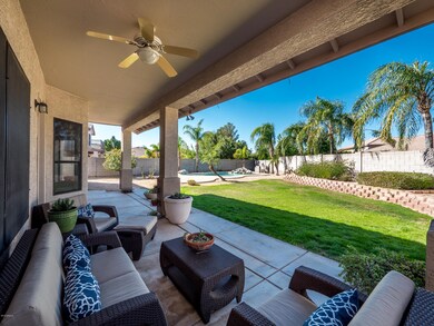 Back Patio