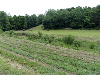 1880 Ashes Creek Rd, Bloomfield, KY 40008 - photo 2