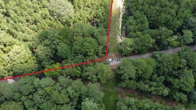 Tract V-4 Jim Price Rd, Greenwel Springs, LA 70739 - photo 5