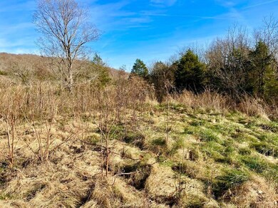 231 Highway 1003, Somerset, KY 42501 - photo 5