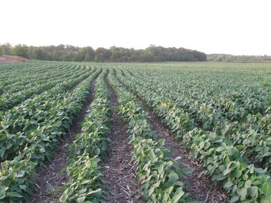 N1856 W Indies Rd, Browntown, WI 53522 - photo 2