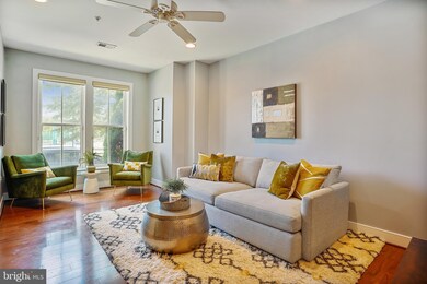 2404 Potomac Ave unit 101, Alexandria, VA 22301 - photo 3