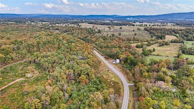 TRACT 4 - 13610 Arkansas 105, Hector, AR 72843 - photo 7