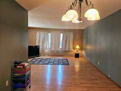 402 E 2nd St N, Truman, MN 56088 - photo 5