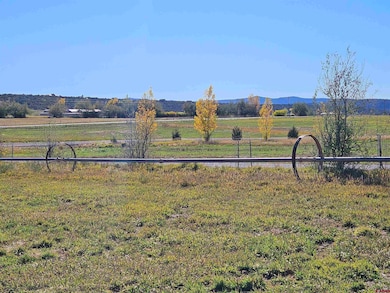 239 Hawks View Dr, Durango, CO 81303 - photo 5