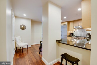 The Ritz-Carlton Residences, Baltimore, MD 21230 - photo 4