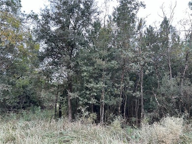 0 Taylor Ave unit 7688070, Irvington, AL 36544 - photo 2