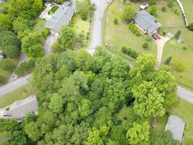 DJI_0009