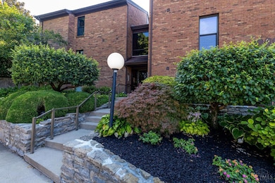 558 Davenport Ave, Cincinnati, OH 45204 - photo 5