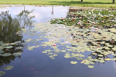 3489 Crestline Rd, Bucyrus, OH 44820 - photo 5