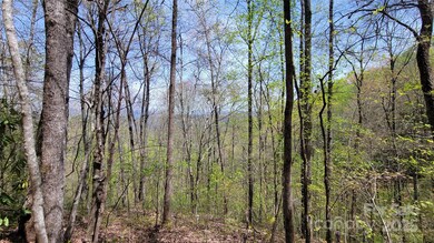 Long Range Mountain Views.