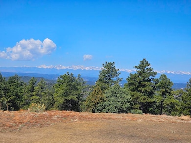 33375 Mountain View, Trinidad, CO - photo 7