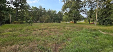 102 Owasso Trail, Bismarck, AR 71929 - photo 3