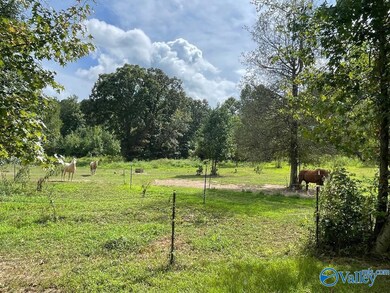 22574 Lake Bates Rd, Athens, AL 35614 - photo 3