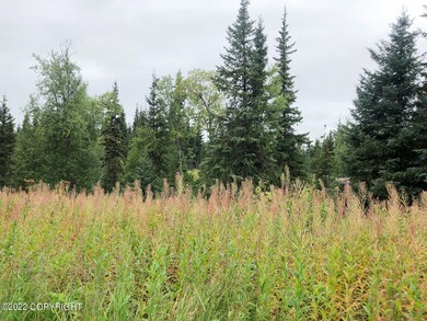 W1 Alaskan Wildwood Ranch(r), Nikolaevsk, AK 99556 - photo 6