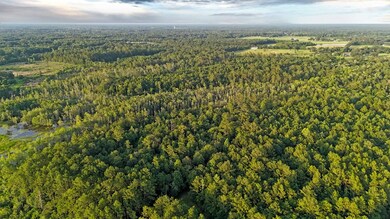 NHN Salem Rd, Picayune, MS 39466 - photo 6