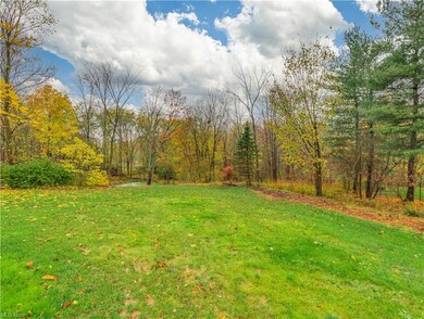 Backyard 2