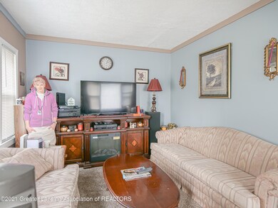 3801 Lowcroft Ave, Lansing, MI 48910 - photo 3