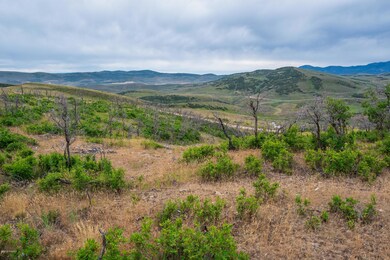 Lot 241 Views