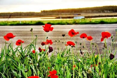 16 Branch Banks, Lumberton, MS 39455 - photo 5