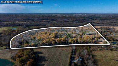 6301 Rochester Rd, Drakesboro, KY 42337 - photo 3