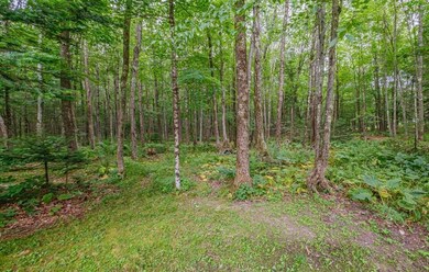 4 Baker Rd, Freeport, ME 04032 - photo 6