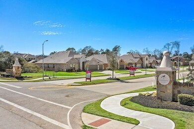 26011 Smokey Willow Dr, Tomball, TX 77375 - photo 6