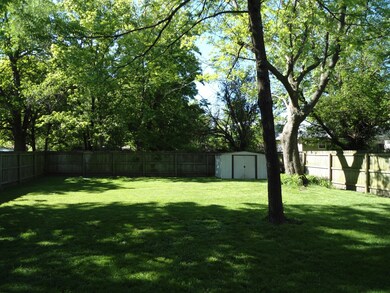 back yard
