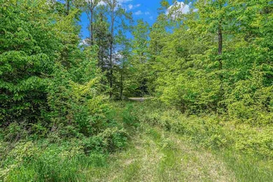 Lot 3 High Pines Trail, Boyne City, MI 49712 - photo 3