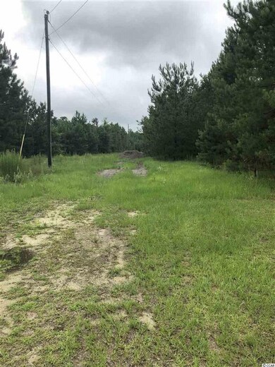 TBD Whispering Hills Rd unit Tract 1; Lot 2, Loris, SC 29569 - photo 4