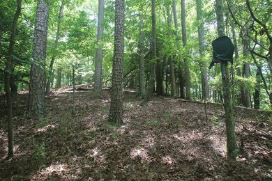 Lt 2628 Garnet Dr, Ellijay, GA 30540 - photo 7